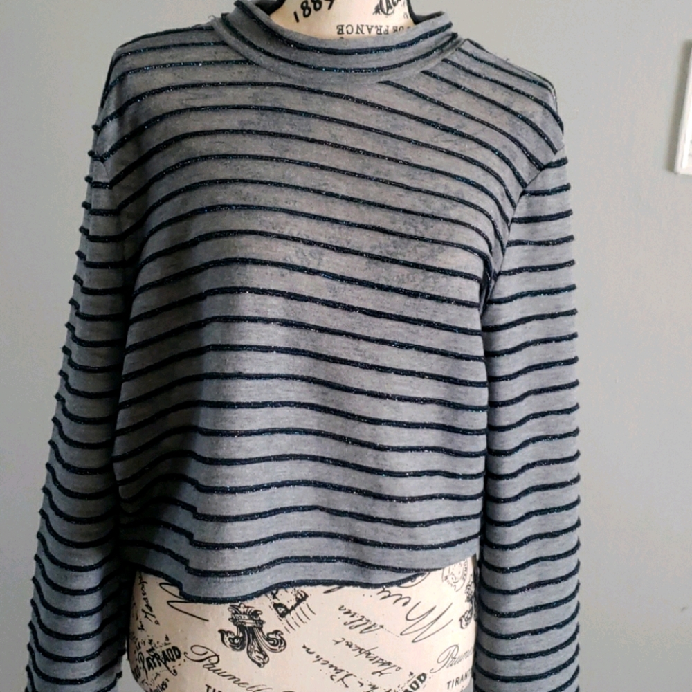 Grey Shinning blouse